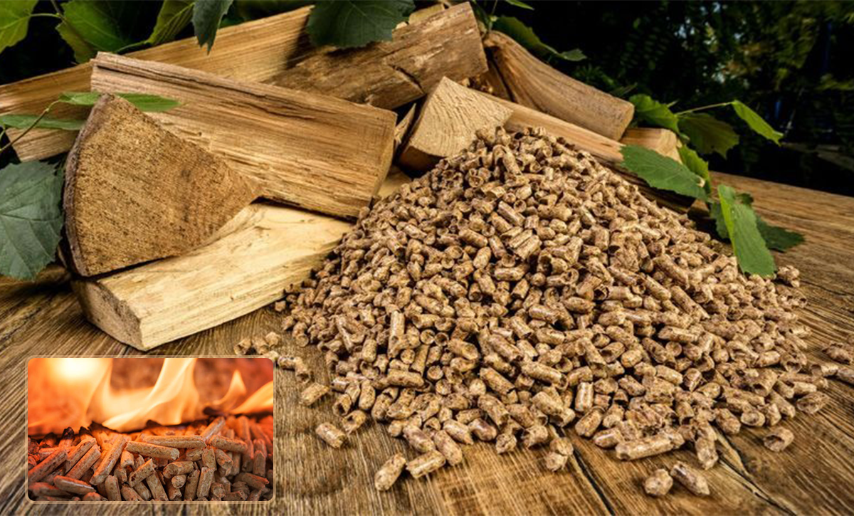 Biomass-Machines-Category