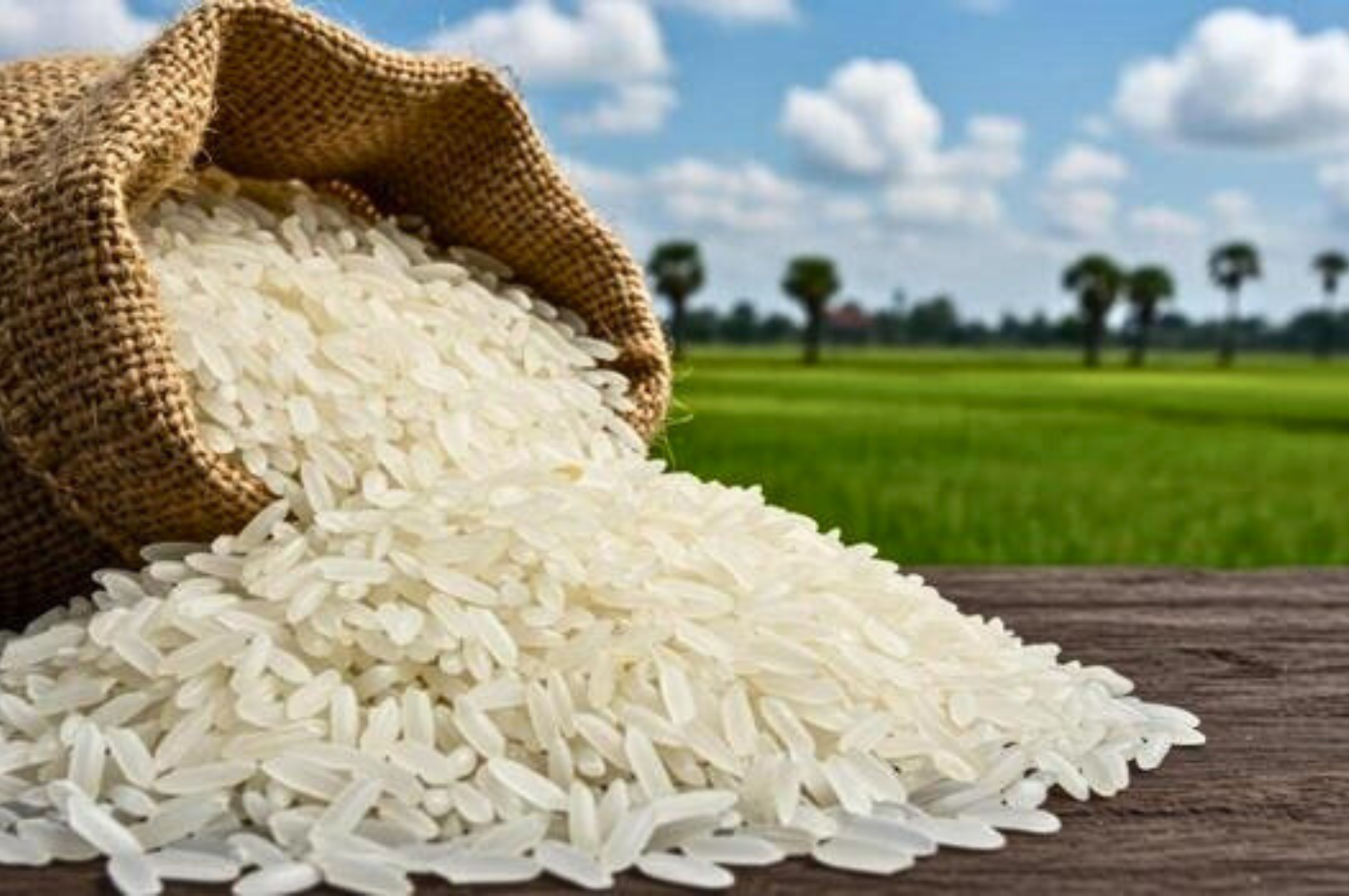 Rice Machines Category