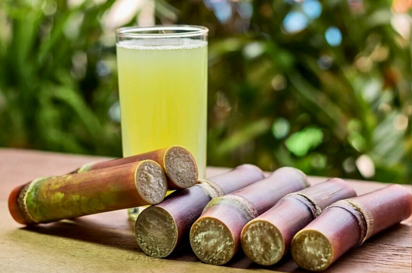 Sugarcane Machines Category