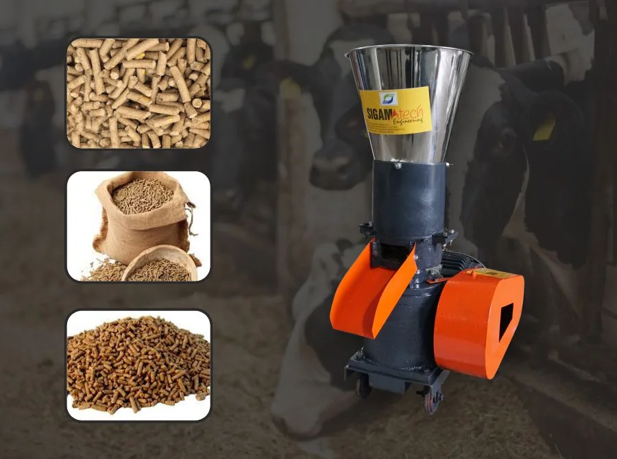 Setup A Cattle Feed Making Business  – Earn High Profit in Low Investment